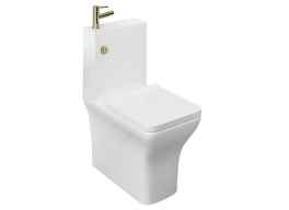 Square Close Coupled Toilet and Basin with Brass tap